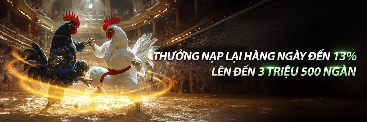 Đá Gà Trực Tuyến Hấp Dẫn tại 58k